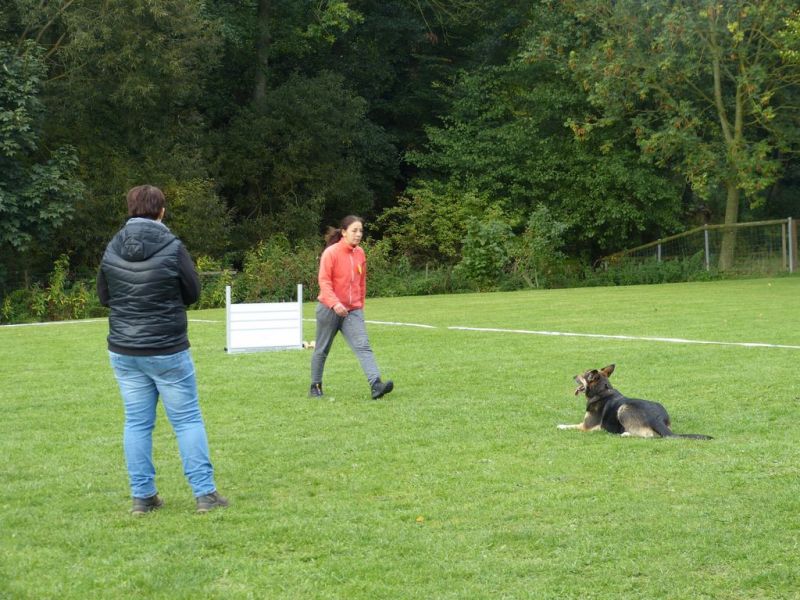 Obedience Prüfung 2015