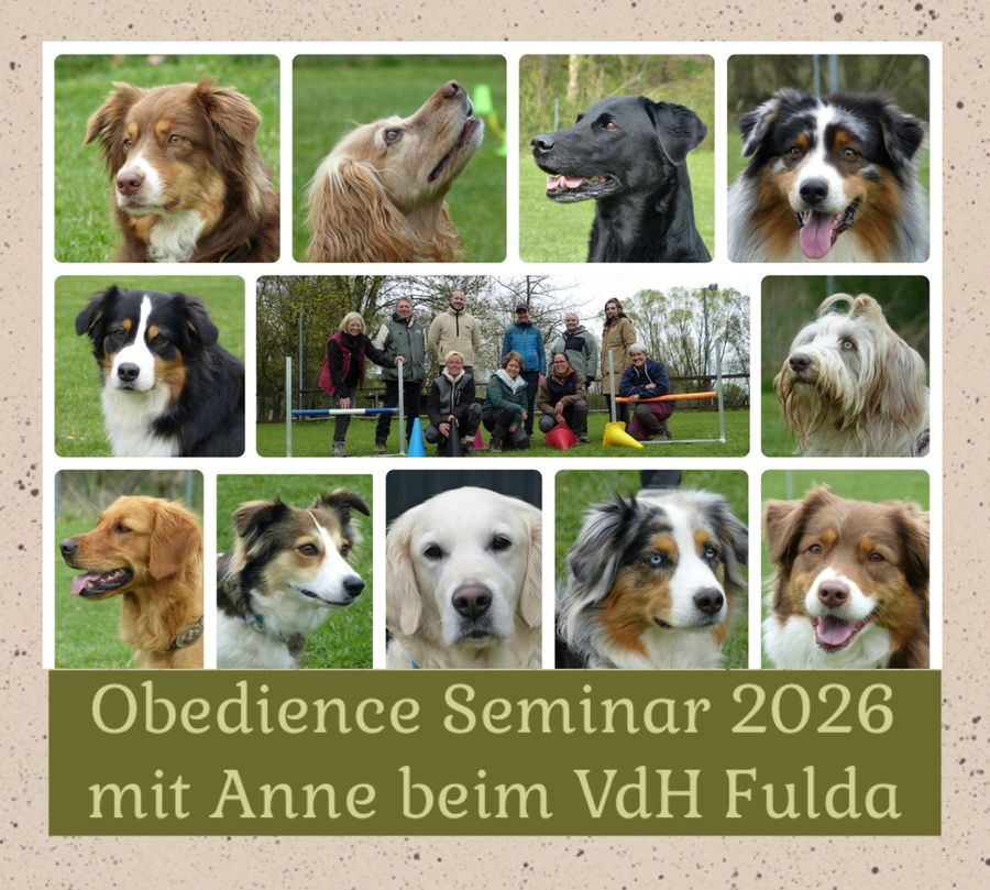 Obedienceseminar mit Anne Weiß 11./12. April 2026