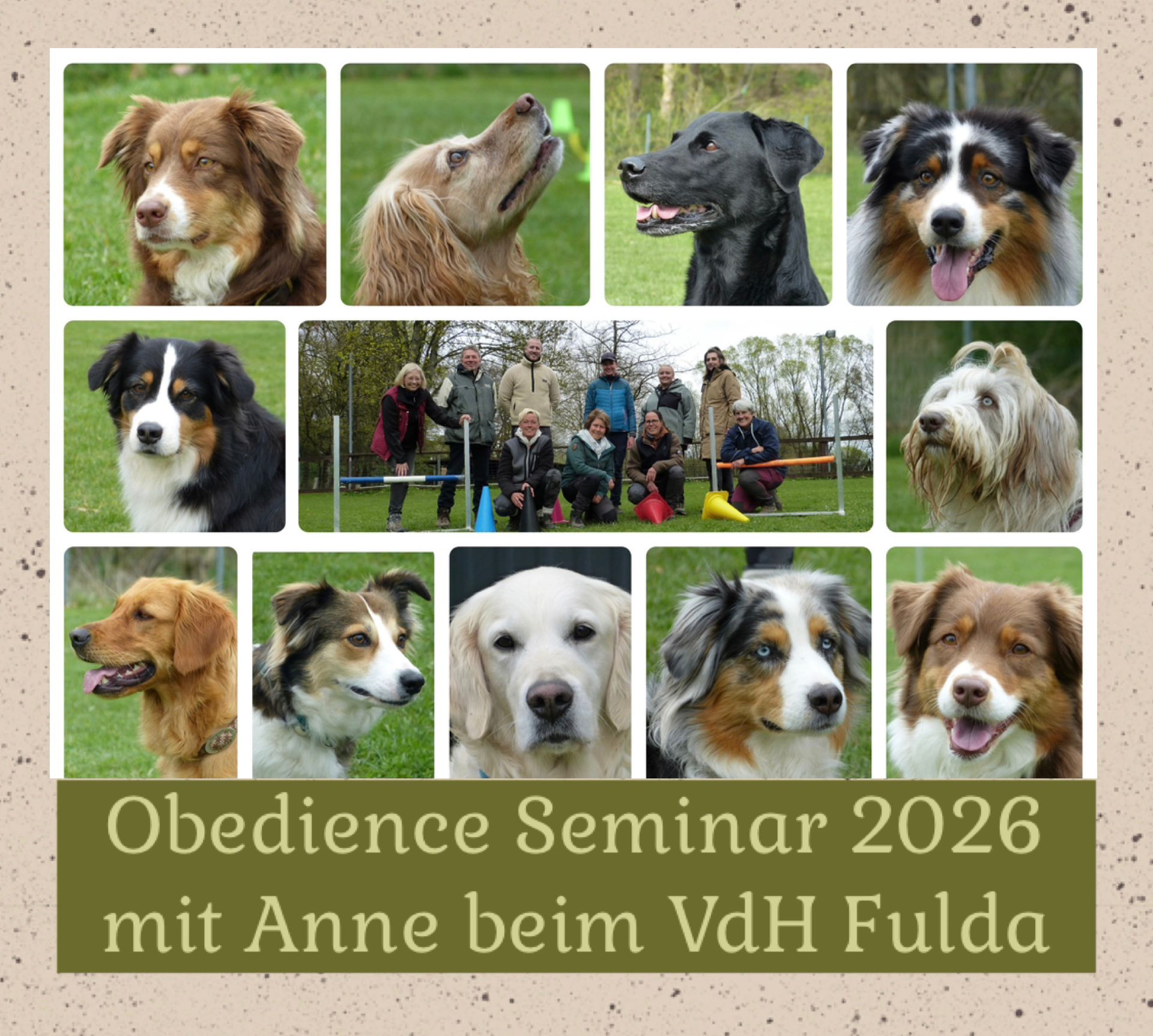 Obedienceseminar mit Anne Weiß 11./12. April 2026