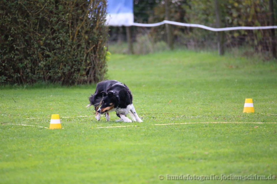 OBI-DM in Löchgau