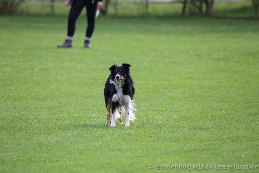 OBI-DM in Löchgau