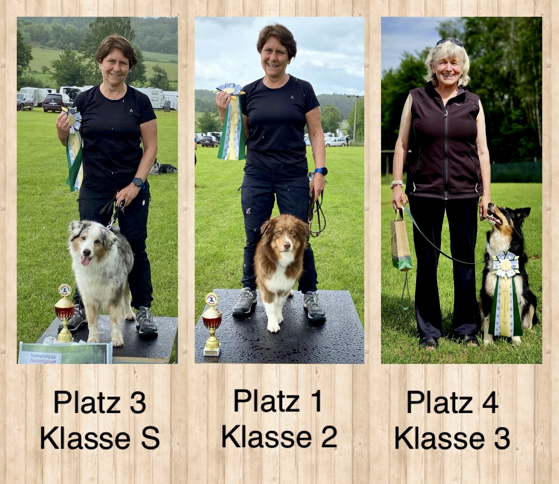 Landesmeisterschaft Obedience 2024