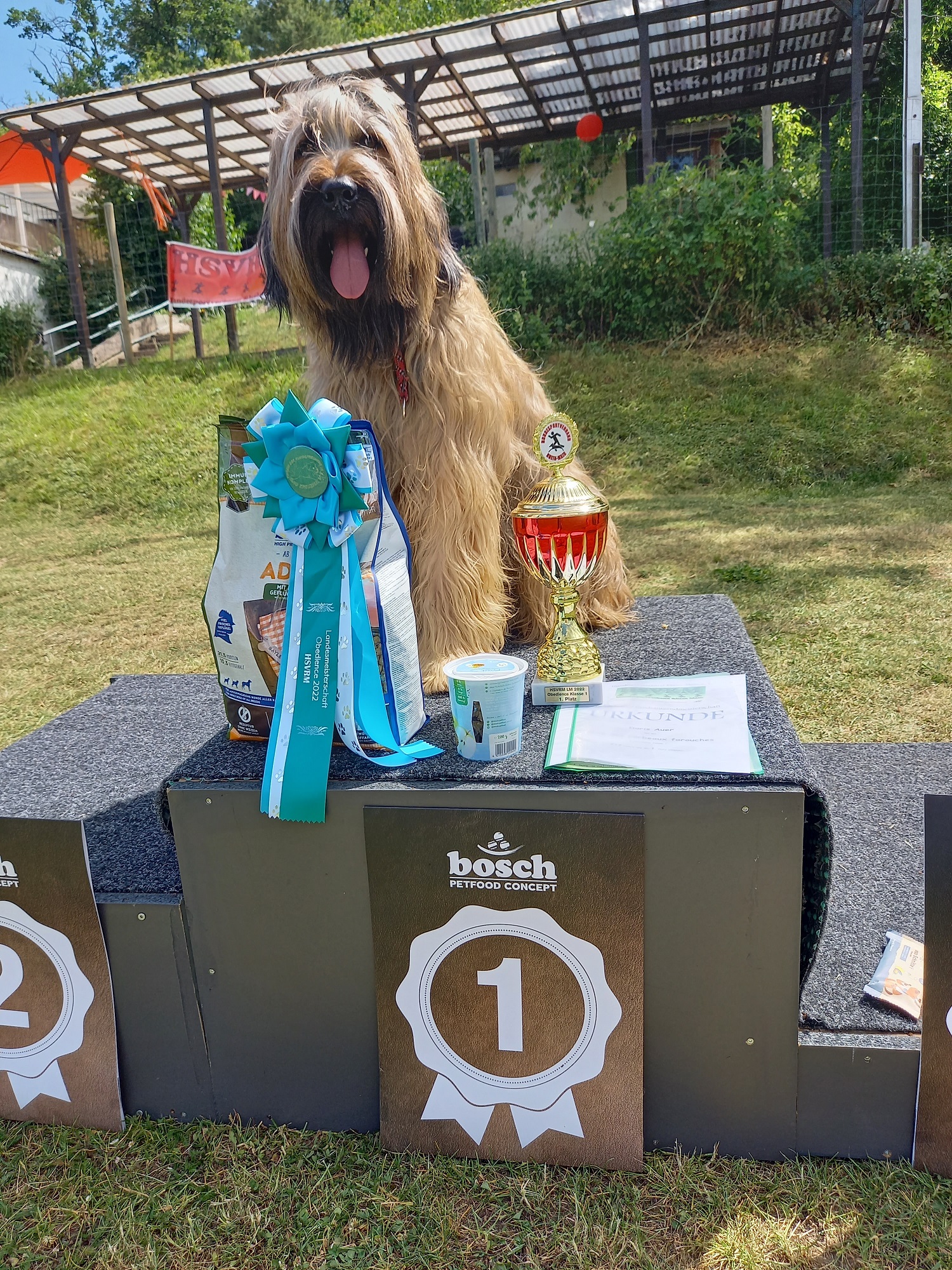 Abenteuer Landesmeisterschaft im OBI1!