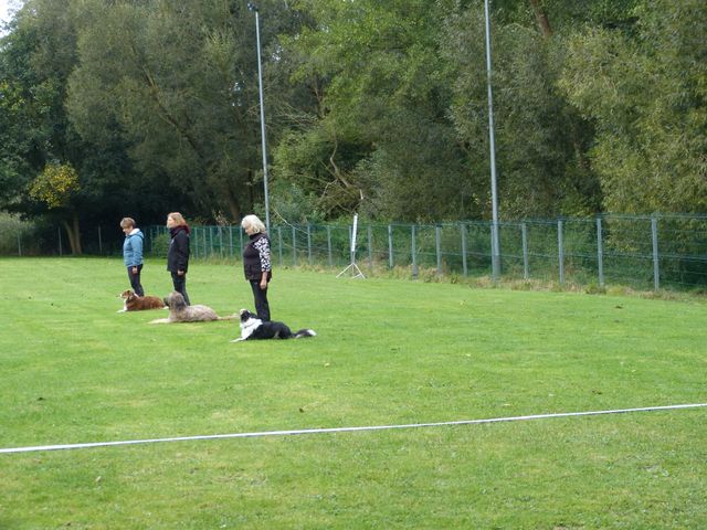 Obi-Prüfung Herbst