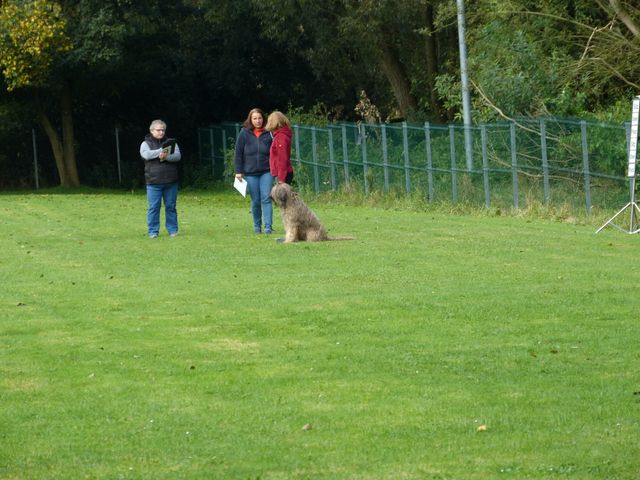 Obi-Prüfung Herbst