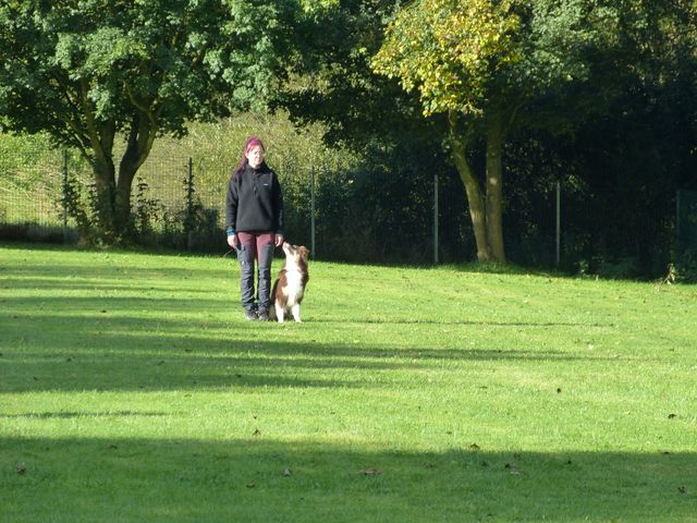 Obi-Prüfung Herbst