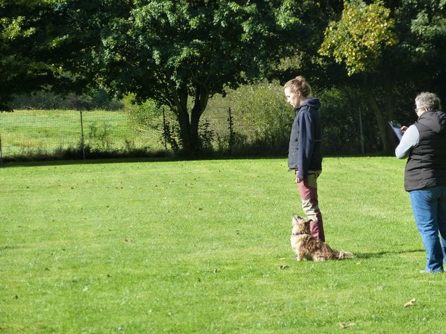 Obi-Prüfung Herbst