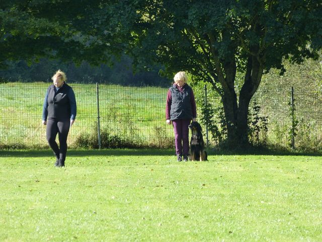 Obi-Prüfung Herbst