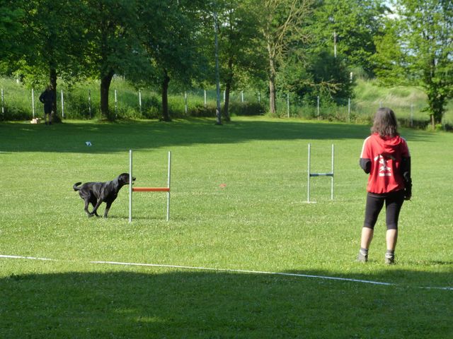 Obi-Prüfung Juni2025