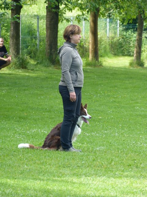 Obi-Prüfung Juni2025