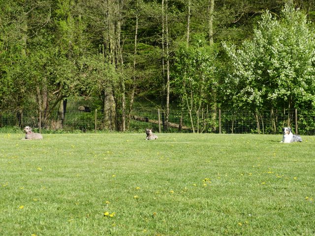 Obi-Prüfung 2016