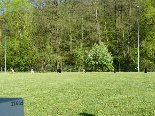 Obi-Prüfung 2016