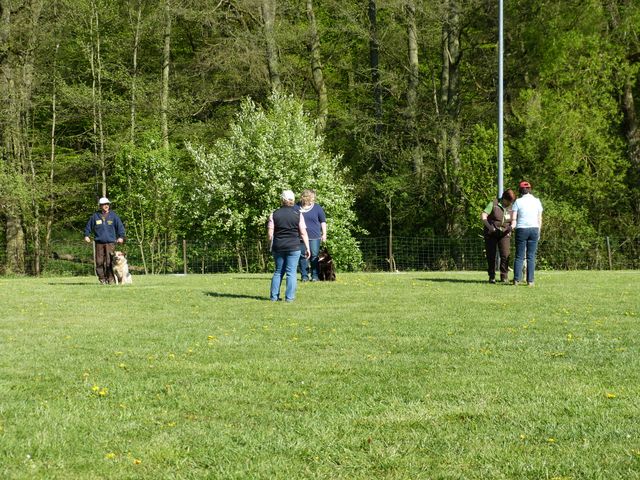 Obi-Prüfung 2016