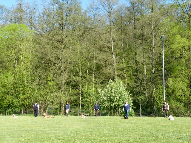 Obi-Prüfung 2016