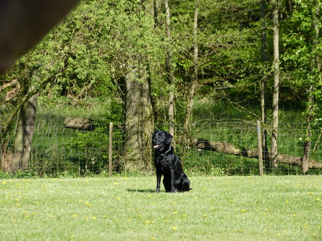Obi-Prüfung 2016