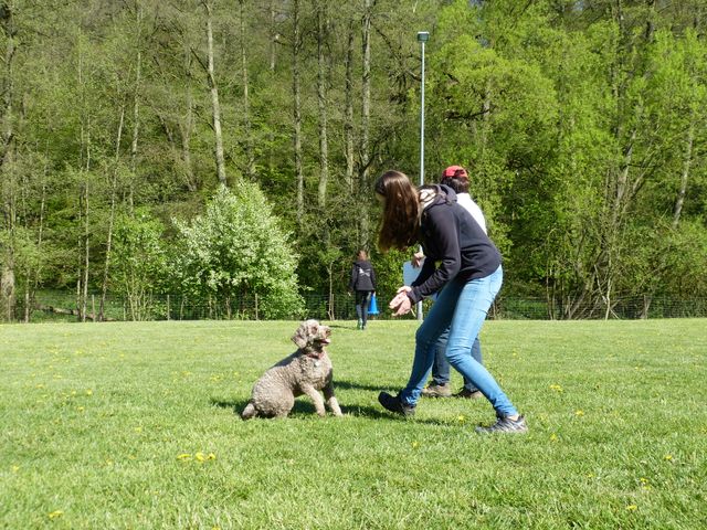 Obi-Prüfung 2016