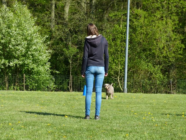 Obi-Prüfung 2016