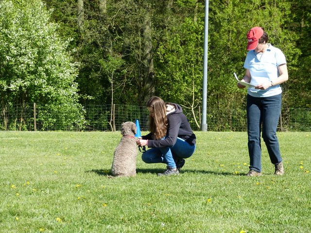 Obi-Prüfung 2016