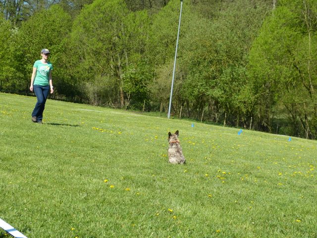 Obi-Prüfung 2016