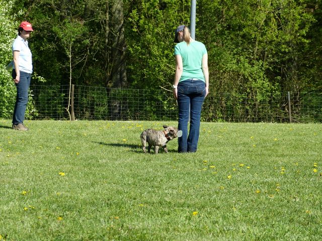 Obi-Prüfung 2016