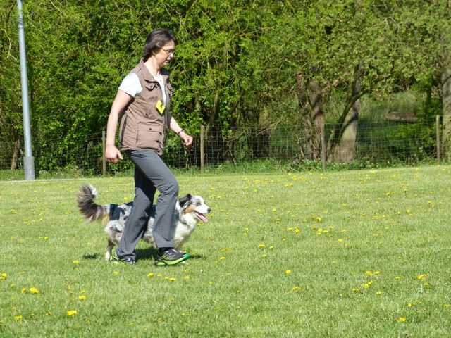 Obi-Prüfung 2016