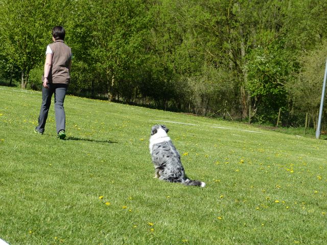 Obi-Prüfung 2016