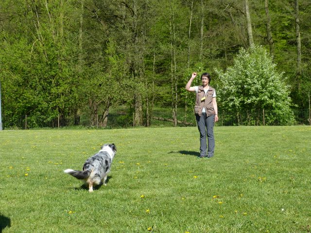 Obi-Prüfung 2016