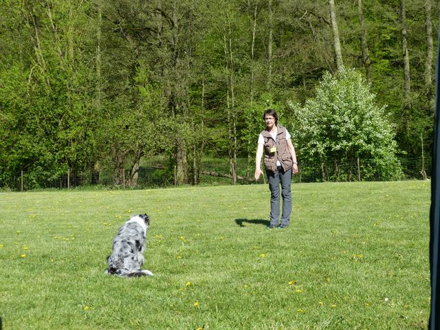 Obi-Prüfung 2016