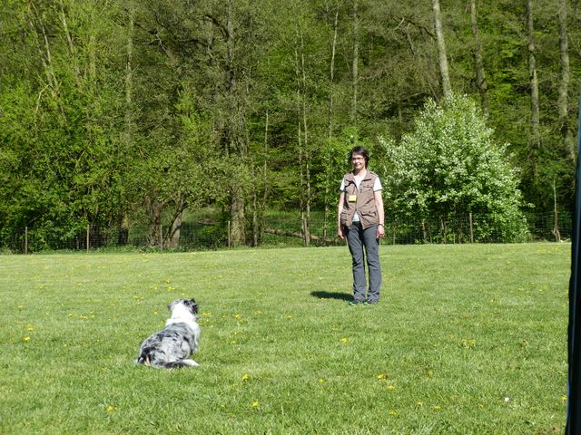Obi-Prüfung 2016