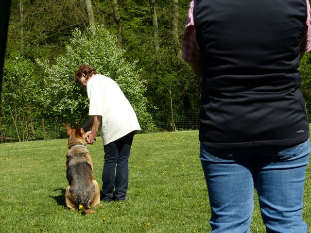 Obi-Prüfung 2016