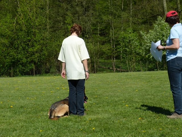 Obi-Prüfung 2016