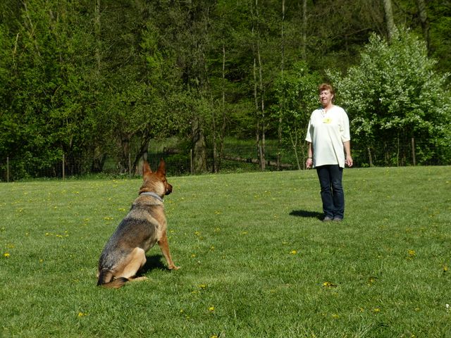 Obi-Prüfung 2016