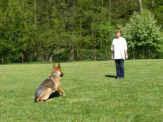 Obi-Prüfung 2016