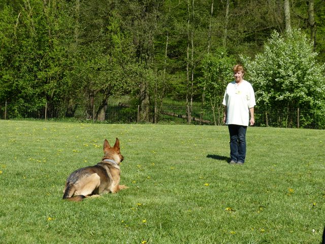 Obi-Prüfung 2016