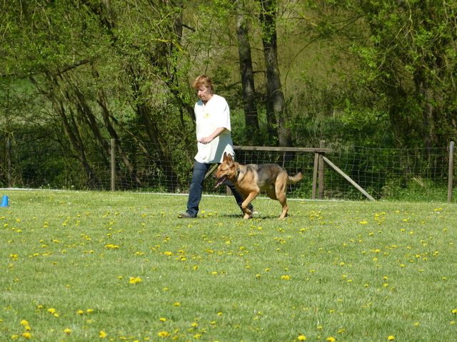 Obi-Prüfung 2016