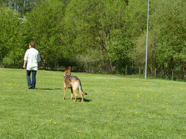Obi-Prüfung 2016