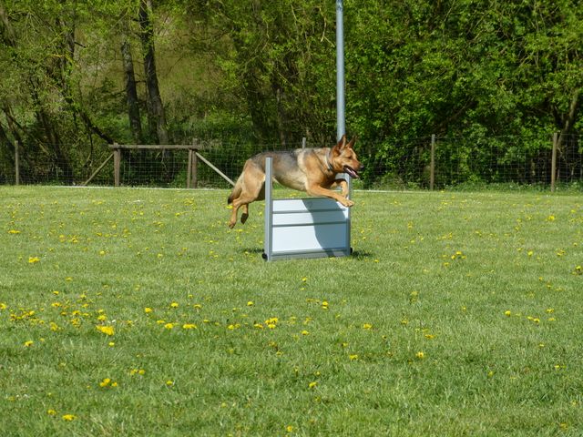 Obi-Prüfung 2016