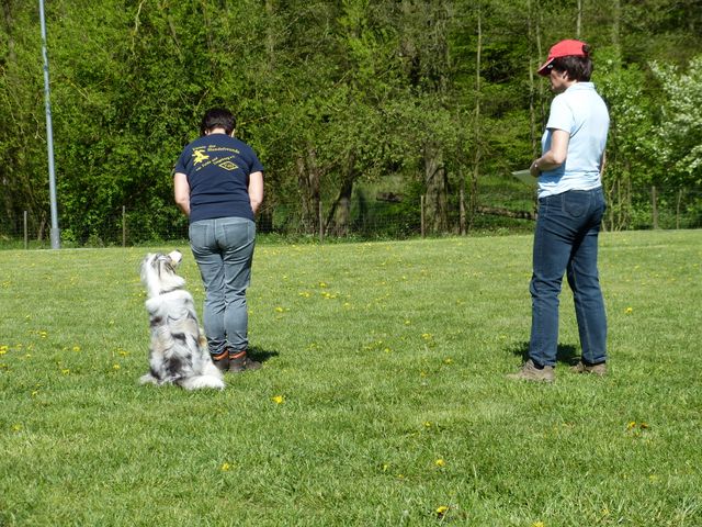 Obi-Prüfung 2016