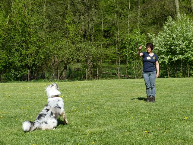 Obi-Prüfung 2016
