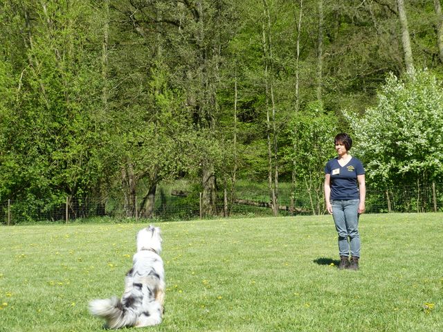 Obi-Prüfung 2016