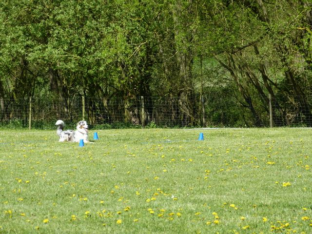Obi-Prüfung 2016