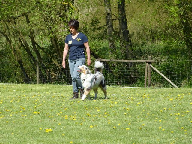 Obi-Prüfung 2016