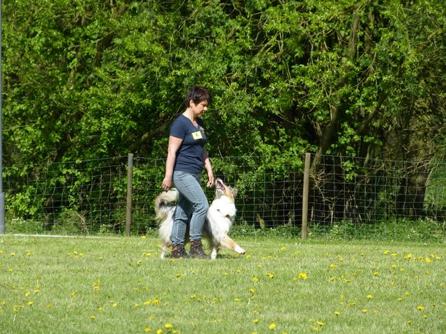 Obi-Prüfung 2016