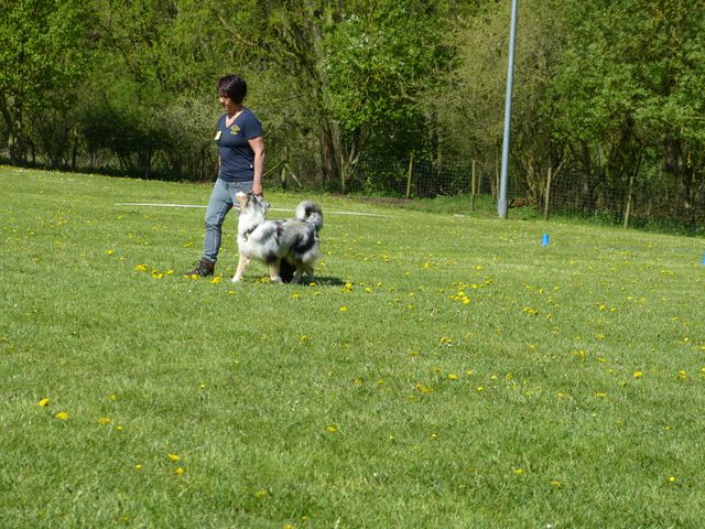 Obi-Prüfung 2016