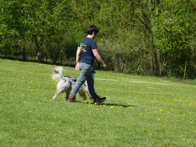 Obi-Prüfung 2016