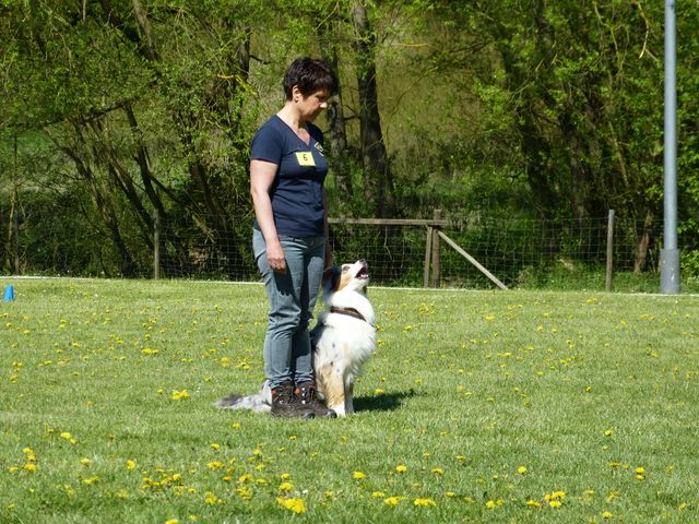 Obi-Prüfung 2016