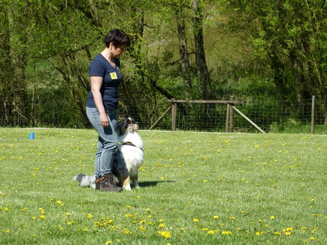 Obi-Prüfung 2016