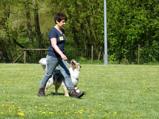 Obi-Prüfung 2016