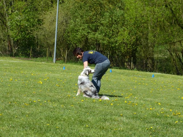 Obi-Prüfung 2016
