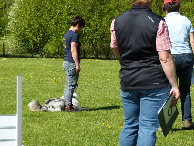 Obi-Prüfung 2016